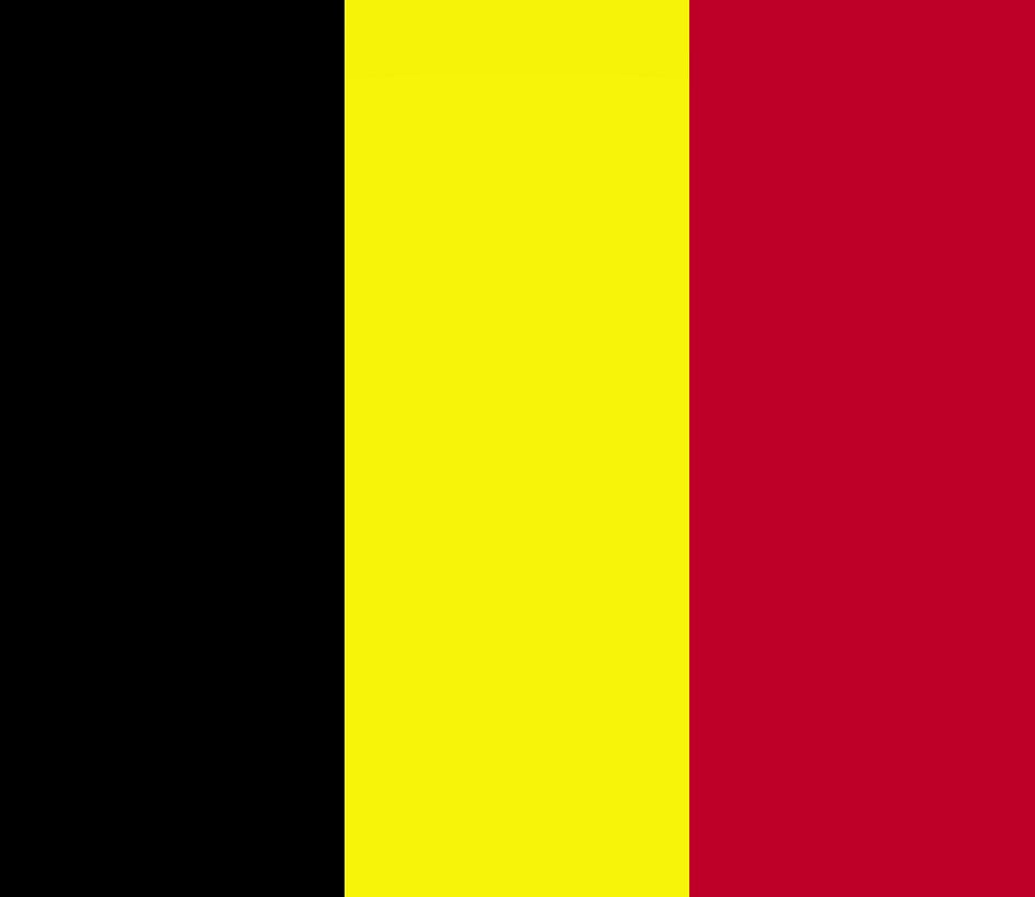 Autocollant drapeau de la Belgique 5-60cm Résistant aux intempéries F-FL-BGL