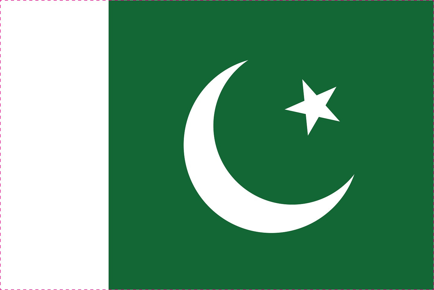 Autocollant drapeau du Pakistan 5-60 cm Résistant aux intempéries F-FL-PAK