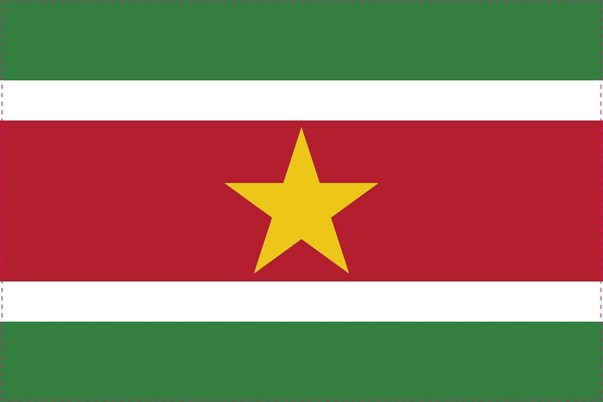 Autocollant drapeau du Suriname 5-60cm Résistant aux intempéries F-FL-SUR