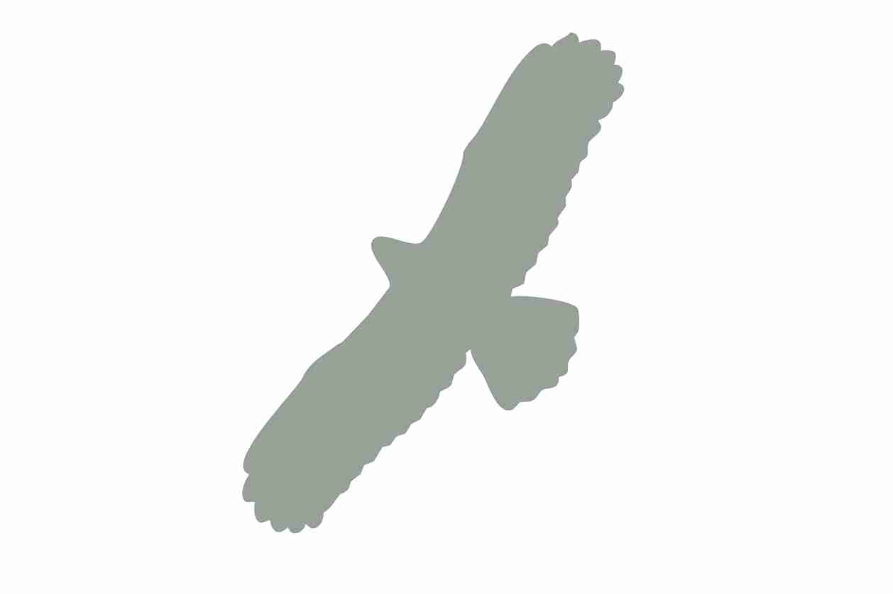 Autocollant de protection pour oiseaux 60–100 cm ES-VOG-100-91, couleur gris clair, en plastique résistant aux intempéries.