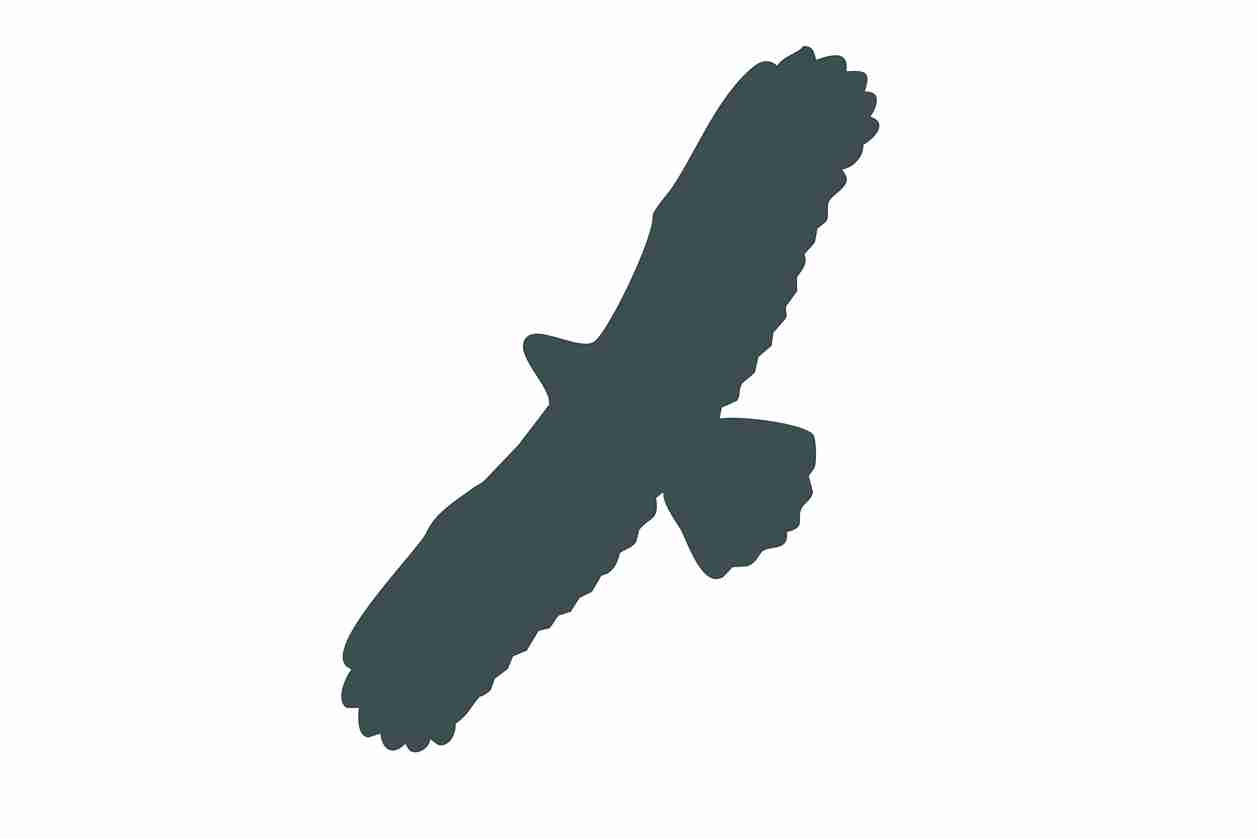 Autocollant de protection pour oiseaux 60–100 cm ES-VOG-100-93, couleur gris foncé, en plastique résistant aux intempéries.