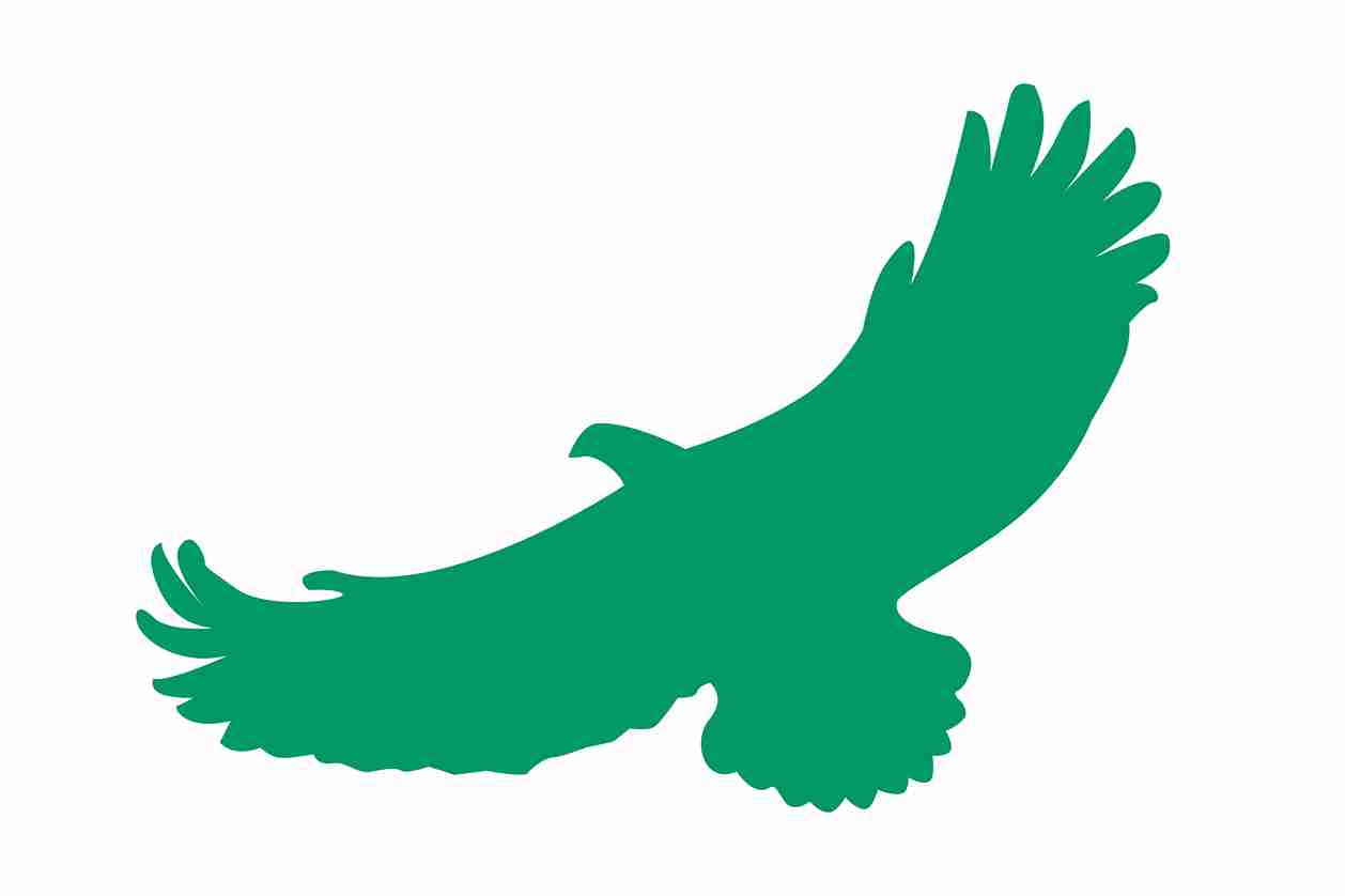 Autocollant de protection contre les oiseaux 10-50 cm ES-VOG-110-54, couleur vert foncé, en plastique résistant aux intempéries.