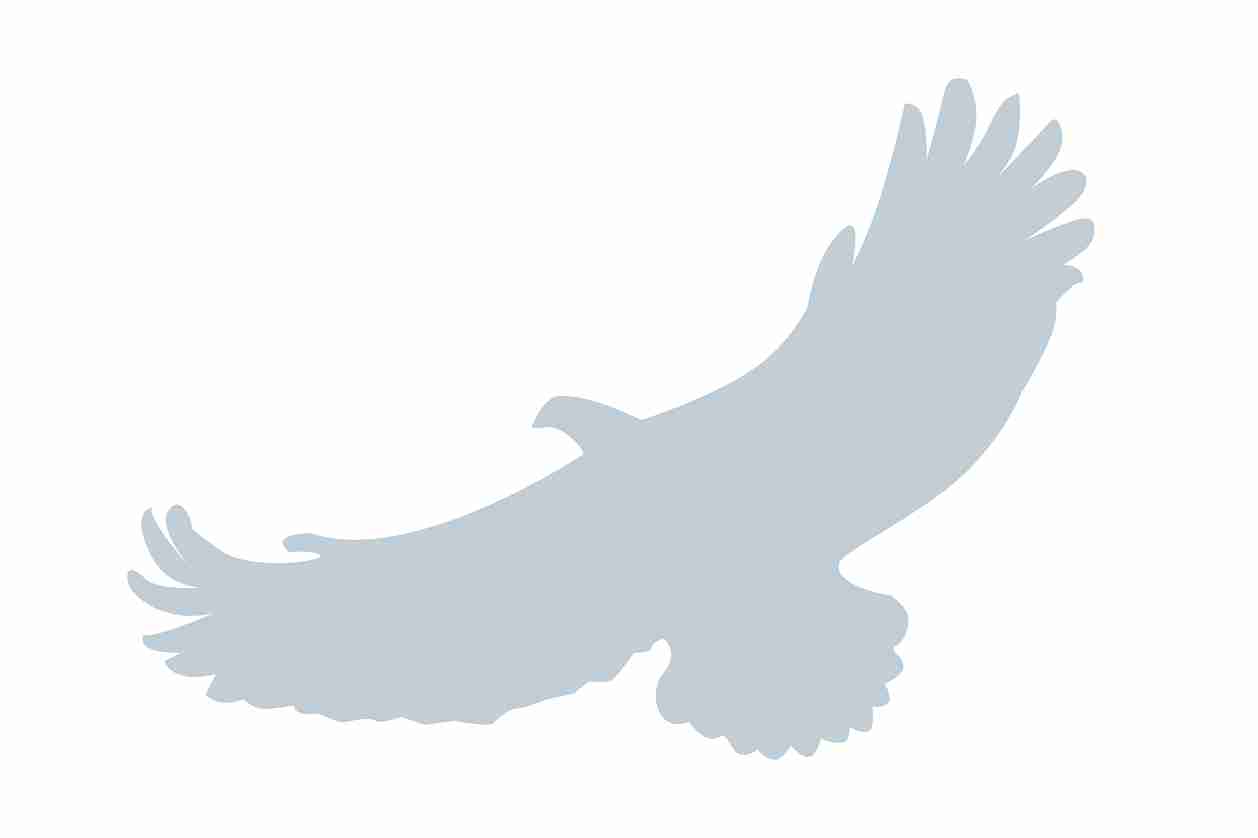 Autocollant de protection pour oiseaux 60–100 cm ES-VOG-110-SIM, argent mat, en plastique résistant aux intempéries.