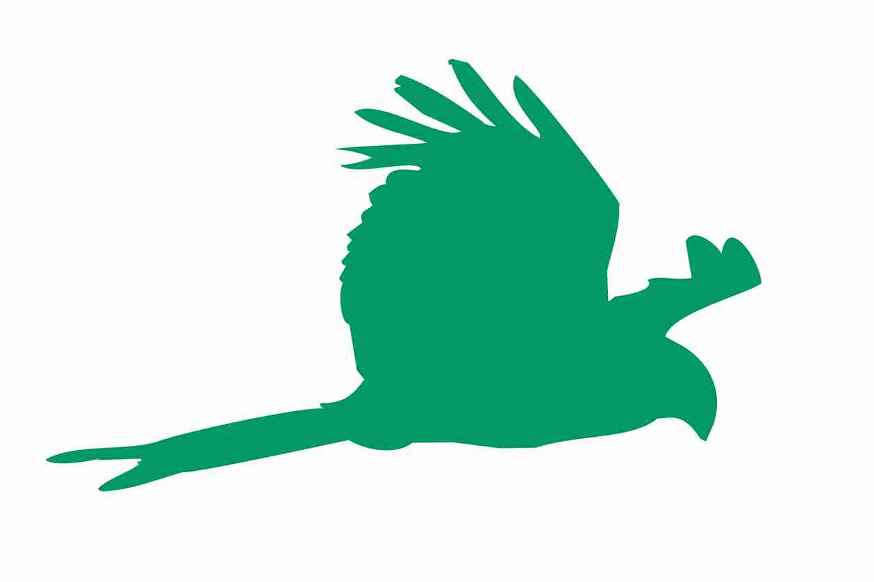 Autocollant de protection contre les oiseaux 10-50 cm ES-VOG-120-54, couleur vert foncé, en plastique résistant aux intempéries.