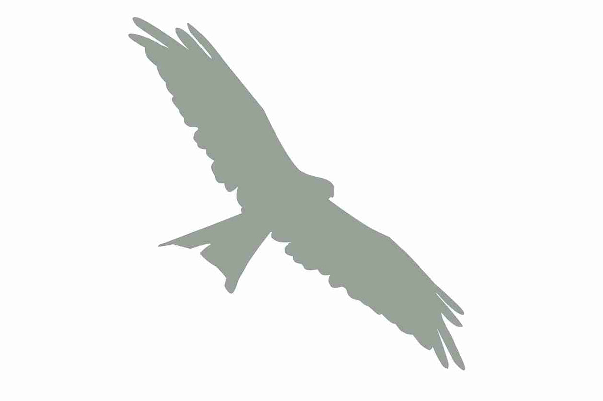 Autocollant de protection pour oiseaux 60–100 cm ES-VOG-130-91, couleur gris clair, en plastique résistant aux intempéries.