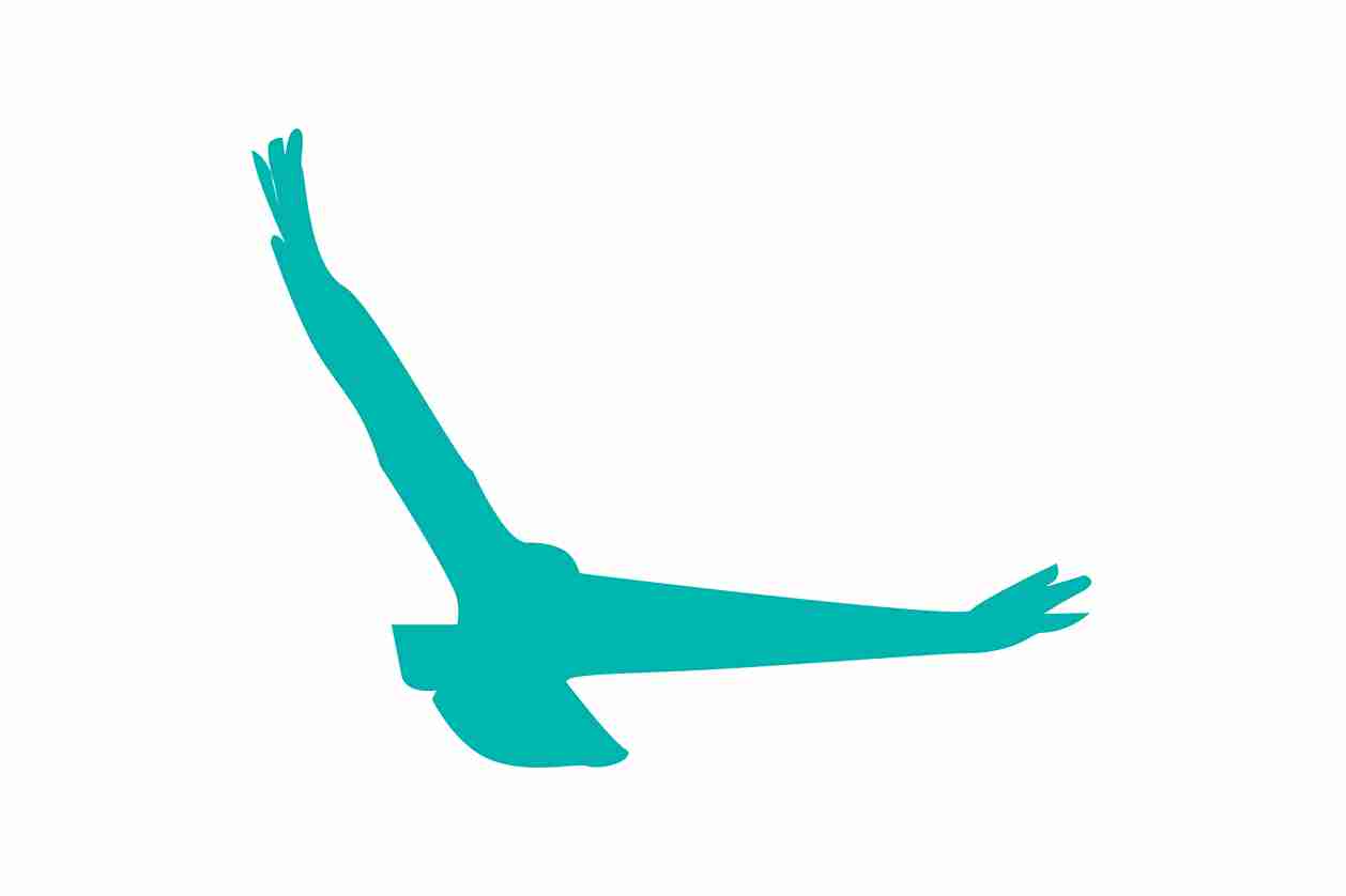 Autocollant de protection pour oiseaux 60–100 cm ES-VOG-140-802, couleur vert clair, en plastique résistant aux intempéries.