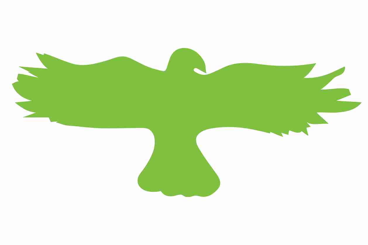 Autocollant de protection contre les oiseaux 10-50 cm ES-VOG-20-67, couleur verte, en plastique résistant aux intempéries.