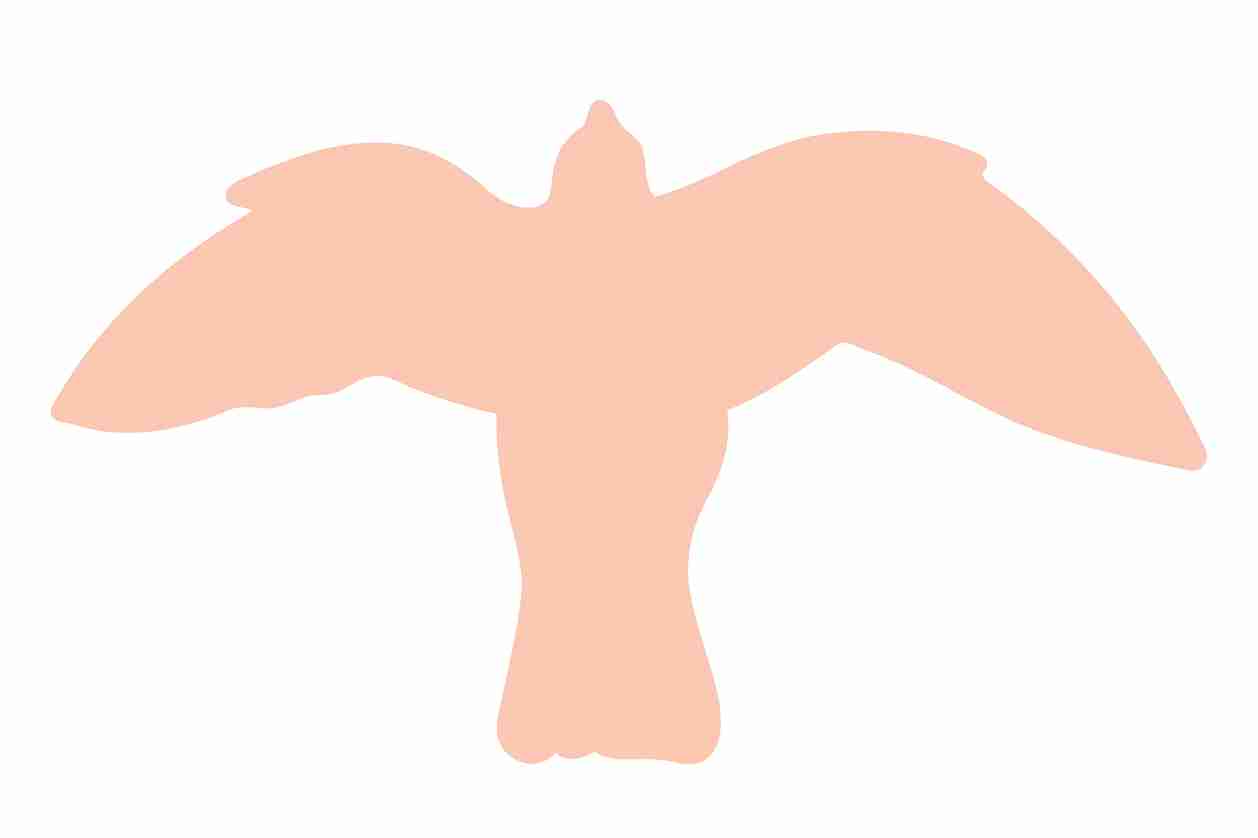 Autocollant de protection pour oiseaux 60–100 cm ES-VOG-50-811, couleur orange clair, en plastique résistant aux intempéries.