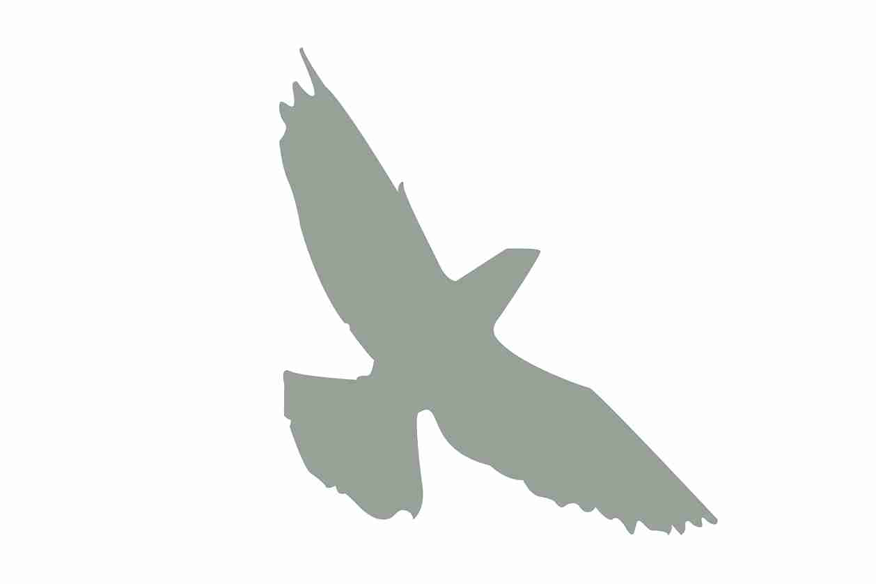 Autocollant de protection pour oiseaux 60–100 cm ES-VOG-70-91, couleur gris clair, en plastique résistant aux intempéries.