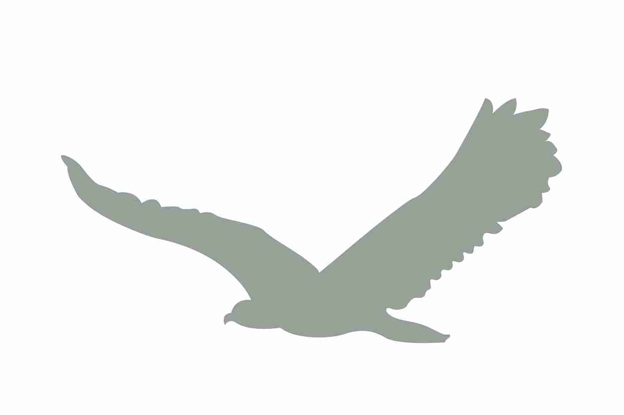 Autocollant de protection pour oiseaux 10–50 cm ES-VOG-80-91, couleur gris clair, en plastique résistant aux intempéries.