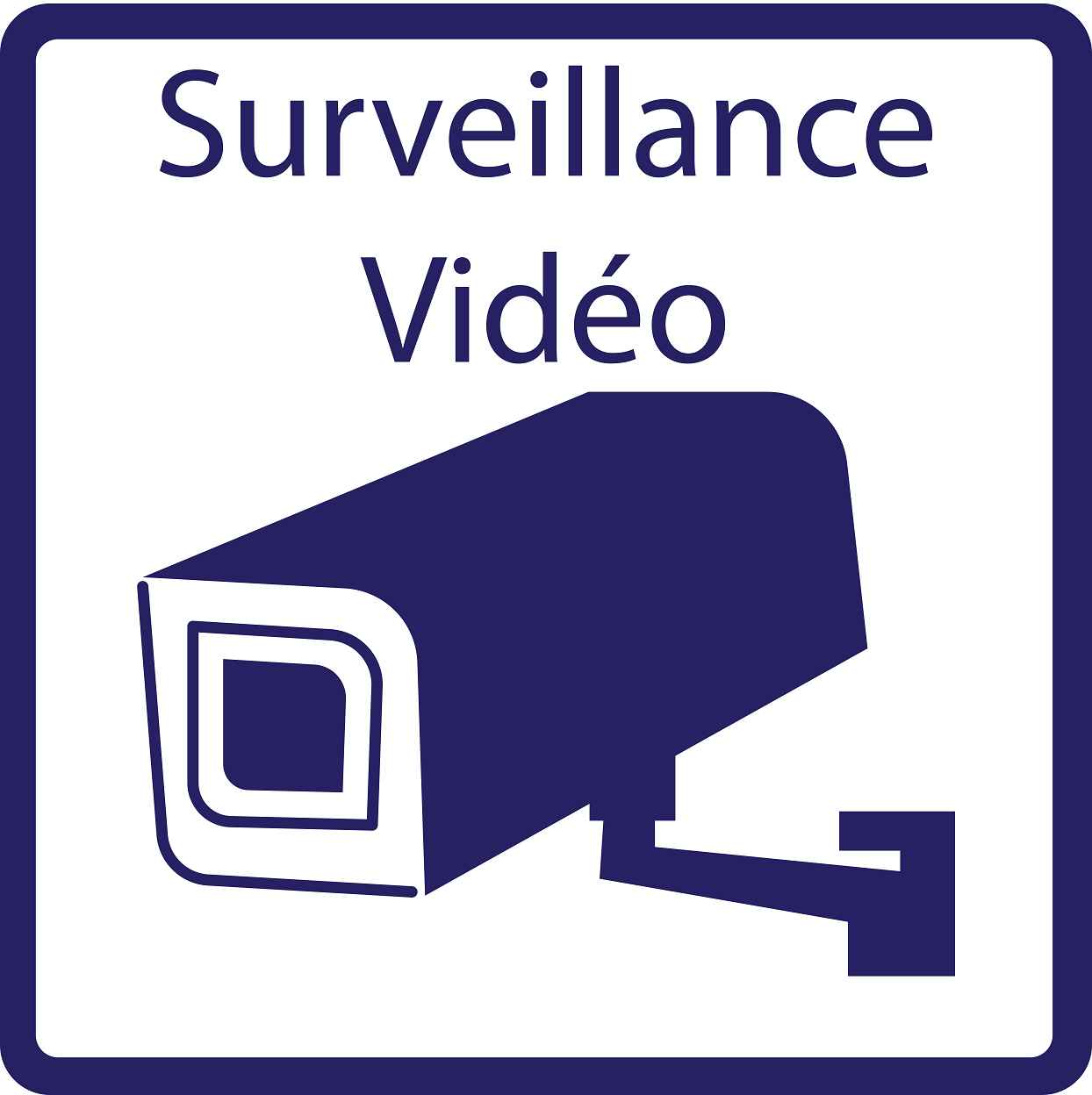 Pictogrammes de signalisation de bâtiment "Vidéosurveillance" 5-30 cm ES-PIKTO2200-44