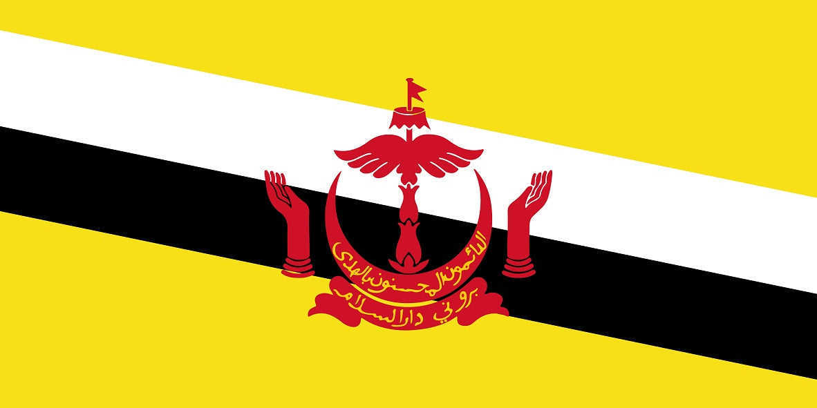 Autocollant drapeau de Brunei 5-60cm Résistant aux intempéries F-FL-BRN