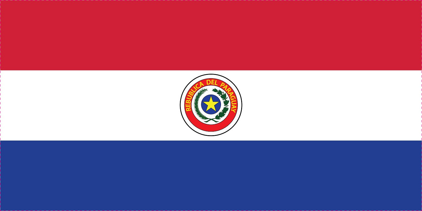 Autocollant drapeau du Paraguay 5-60 cm Résistant aux intempéries F-FL-PRG