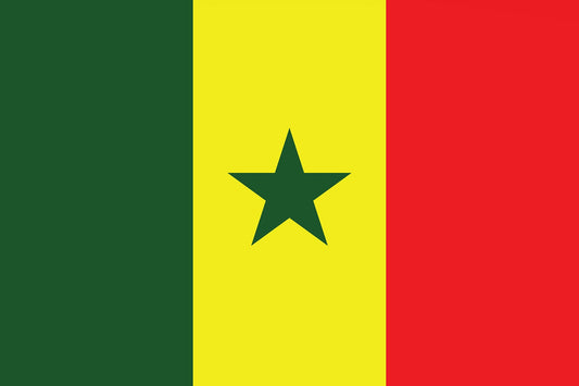 Autocollant drapeau du Sénégal 5-60 cm Résistant aux intempéries F-FL-SGL