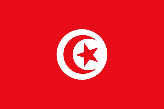 Autocollant drapeau de la Tunisie 5-60cm Résistant aux intempéries F-FL-TUN