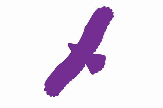 Autocollant de protection contre les oiseaux 60-100 cm ES-VOG-100-34, couleur violette, en plastique résistant aux intempéries.