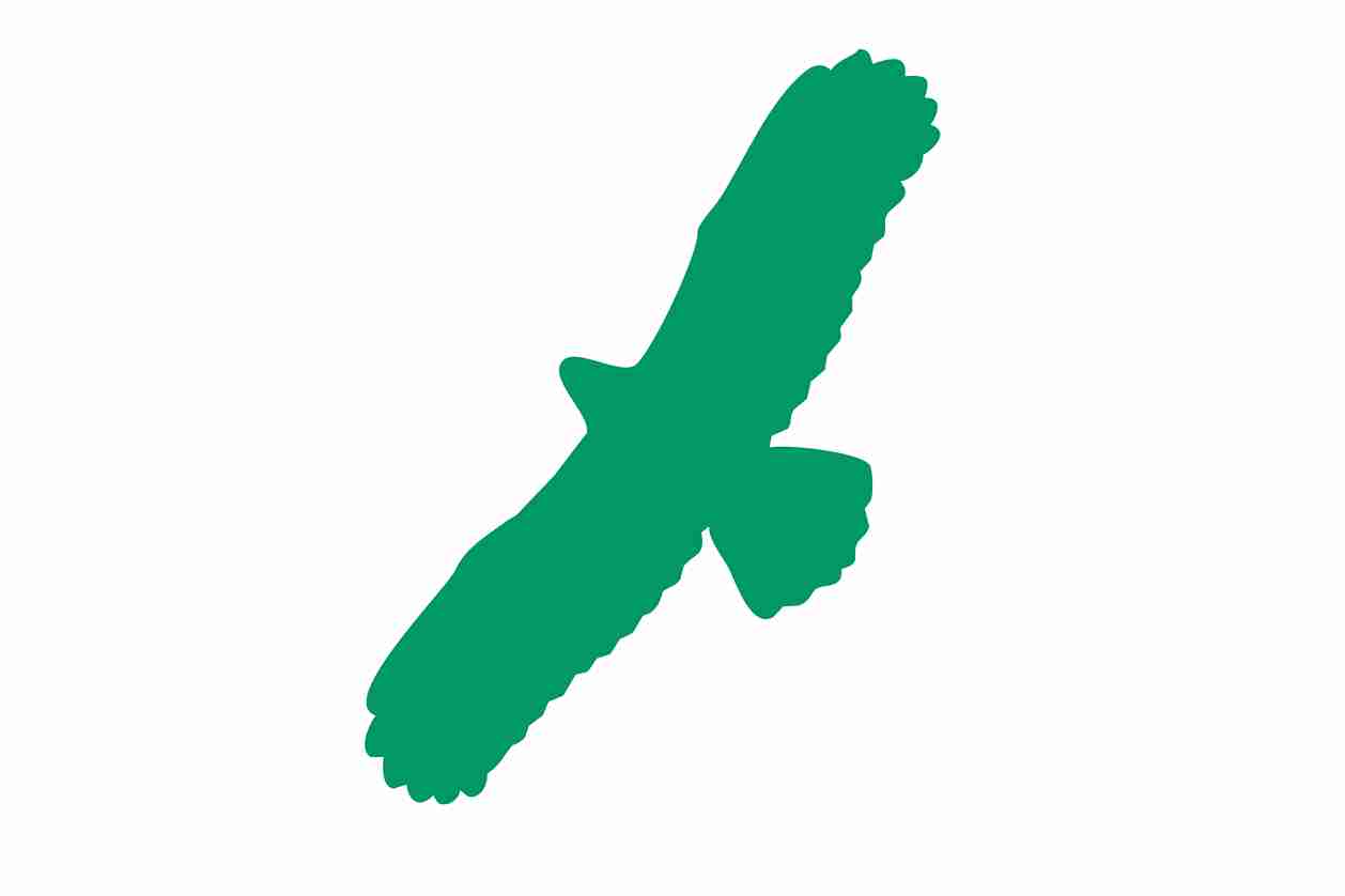 Autocollant de protection contre les oiseaux 60-100 cm ES-VOG-100-54, couleur vert foncé, en plastique résistant aux intempéries.