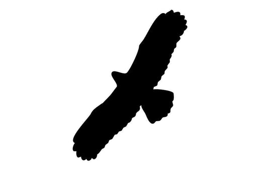 Autocollant de protection pour oiseaux 10–50 cm ES-VOG-100-88, couleur noire, en plastique résistant aux intempéries.