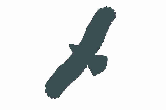 Autocollant de protection pour oiseaux 10–50 cm ES-VOG-100-93, couleur gris foncé, en plastique résistant aux intempéries.