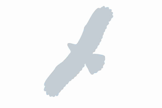Autocollant de protection pour oiseaux 60–100 cm ES-VOG-100-SIM, argent mat, en plastique résistant aux intempéries.