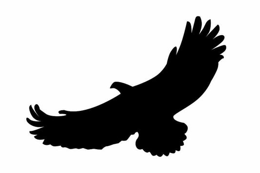 Autocollant de protection pour oiseaux 10–50 cm ES-VOG-110-88, couleur noire, en plastique résistant aux intempéries.