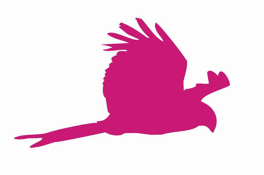 Autocollant de protection contre les oiseaux 60-100 cm ES-VOG-120-26, couleur magenta, en plastique résistant aux intempéries.