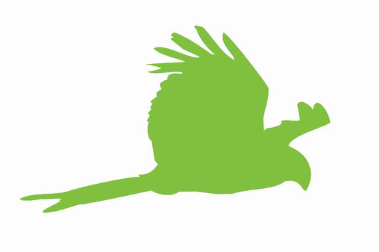 Autocollant de protection contre les oiseaux 60-100 cm ES-VOG-120-67, couleur verte, en plastique résistant aux intempéries.