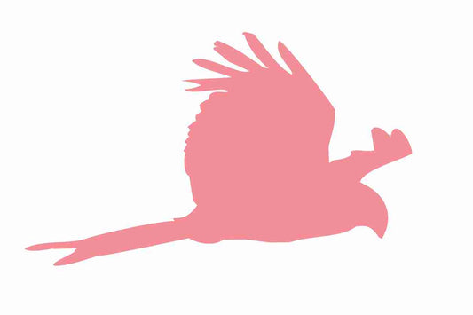 Autocollant de protection pour oiseaux 60–100 cm ES-VOG-120-812, couleur rouge clair, en plastique résistant aux intempéries.