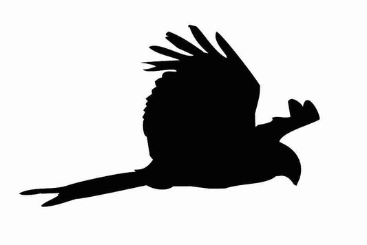 Autocollant de protection pour oiseaux 60–100 cm ES-VOG-120-88, couleur noire, en plastique résistant aux intempéries.