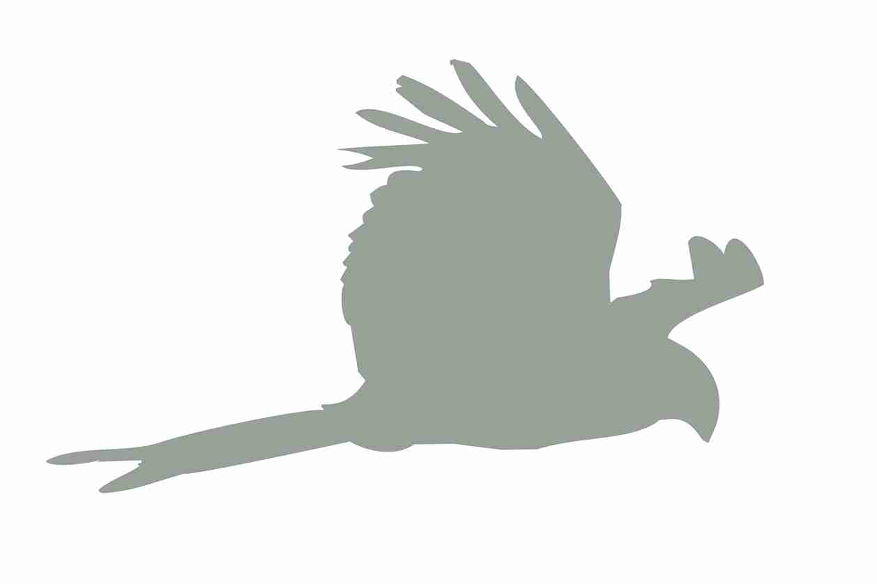 Autocollant de protection pour oiseaux 60–100 cm ES-VOG-120-91, couleur gris clair, en plastique résistant aux intempéries.