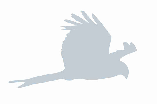 Autocollant de protection pour oiseaux 60–100 cm ES-VOG-120-SIM, argent mat, en plastique résistant aux intempéries.