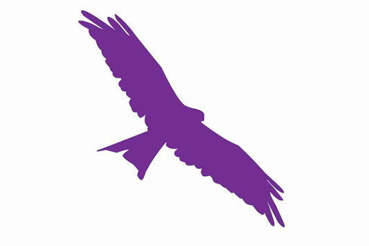 Autocollant de protection contre les oiseaux 60-100 cm ES-VOG-130-34, couleur violette, en plastique résistant aux intempéries.