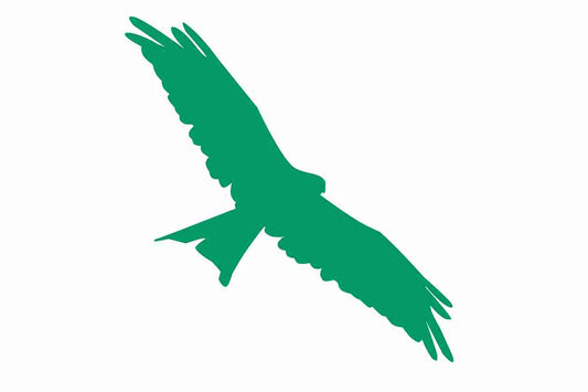 Autocollant de protection contre les oiseaux 60-100 cm ES-VOG-130-54, couleur vert foncé, en plastique résistant aux intempéries.