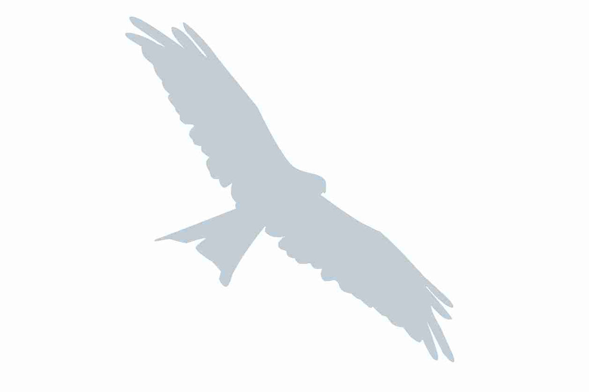 Autocollant de protection pour oiseaux 60–100 cm ES-VOG-130-SIM, argent mat, en plastique résistant aux intempéries.