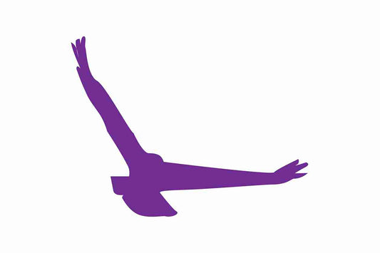 Autocollant de protection contre les oiseaux 60-100 cm ES-VOG-140-34, couleur violette, en plastique résistant aux intempéries.