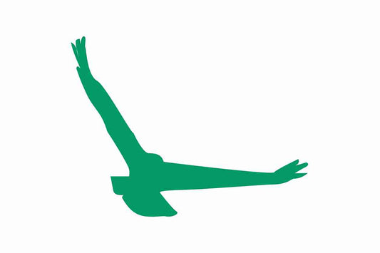 Autocollant de protection contre les oiseaux 60-100 cm ES-VOG-140-54, couleur vert foncé, en plastique résistant aux intempéries.