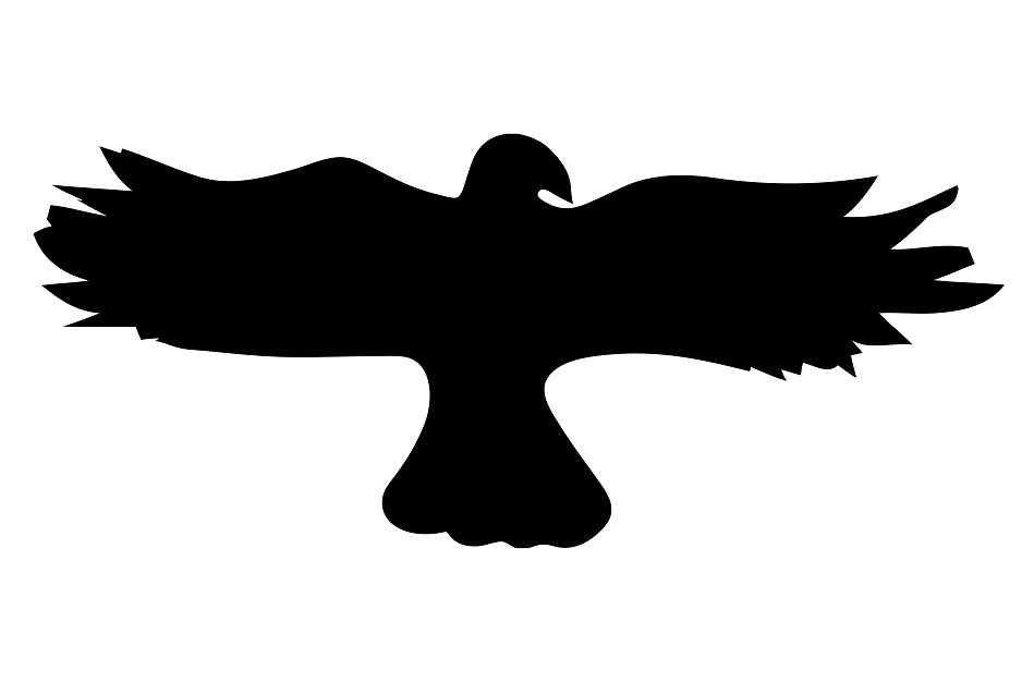 Autocollant de protection pour oiseaux 60–100 cm ES-VOG-20-88, couleur noire, en plastique résistant aux intempéries.