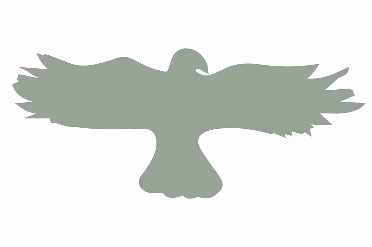 Autocollant de protection pour oiseaux 10–50 cm ES-VOG-20-91, couleur gris clair, en plastique résistant aux intempéries.