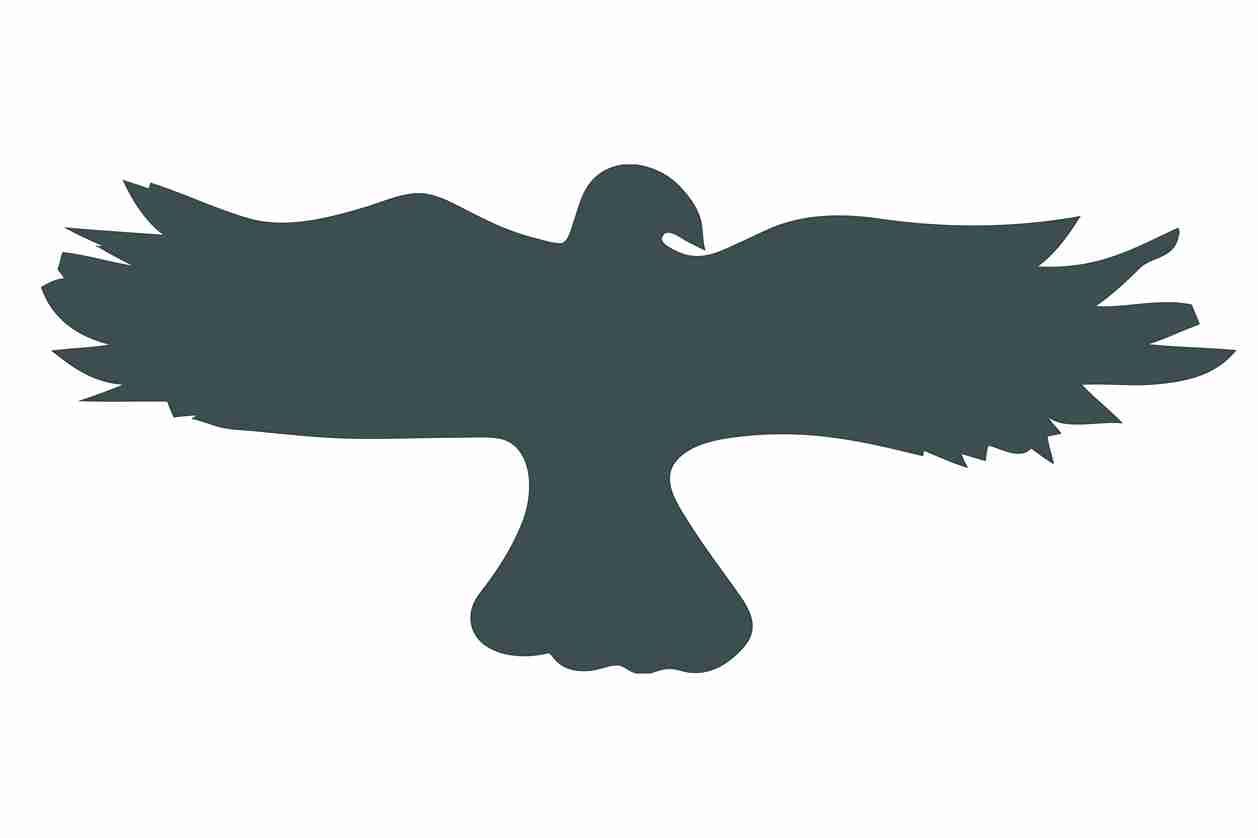 Autocollant de protection pour oiseaux 60–100 cm ES-VOG-20-93, couleur gris foncé, en plastique résistant aux intempéries.