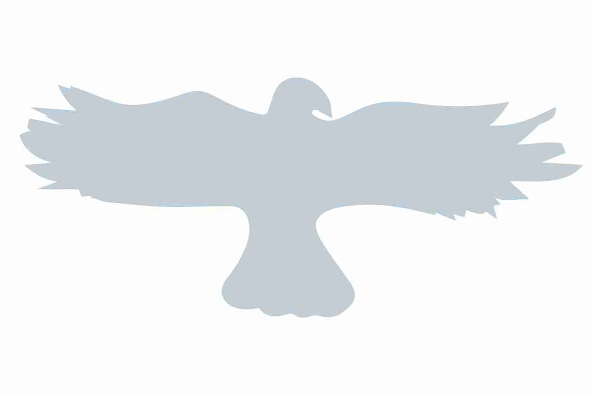 Autocollant de protection pour oiseaux 60–100 cm ES-VOG-20-SIM, argent mat, en plastique résistant aux intempéries.