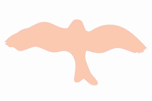 Autocollant de protection pour oiseaux 10–50 cm ES-VOG-30-811, couleur orange clair, en plastique résistant aux intempéries.