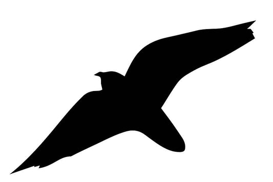 Autocollant de protection pour oiseaux 10–50 cm ES-VOG-40-88, couleur noire, en plastique résistant aux intempéries.