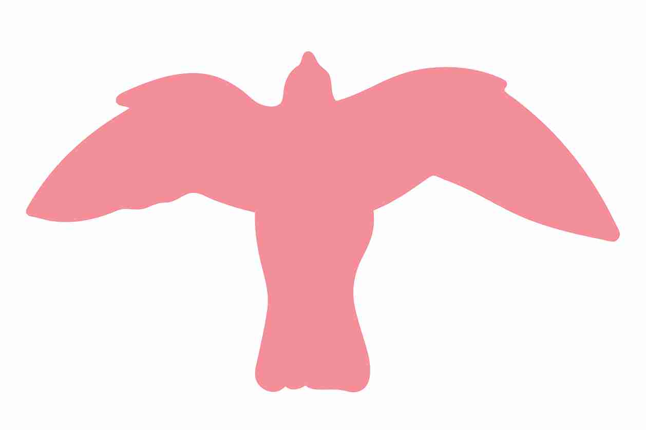 Autocollant de protection contre les oiseaux 60-100 cm ES-VOG-50-21, couleur rose clair, en plastique résistant aux intempéries.
