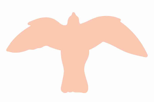Autocollant de protection pour oiseaux 10–50 cm ES-VOG-50-811, couleur orange clair, en plastique résistant aux intempéries.