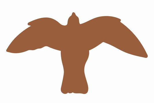 Autocollant de protection contre les oiseaux 60-100 cm ES-VOG-50-84, couleur brun foncé, en plastique résistant aux intempéries.