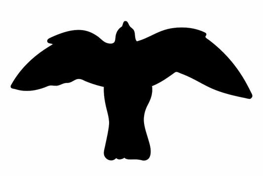 Autocollant de protection pour oiseaux 10–50 cm ES-VOG-50-88, couleur noire, en plastique résistant aux intempéries.