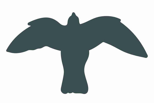 Autocollant de protection pour oiseaux 10–50 cm ES-VOG-50-93, couleur gris foncé, en plastique résistant aux intempéries.
