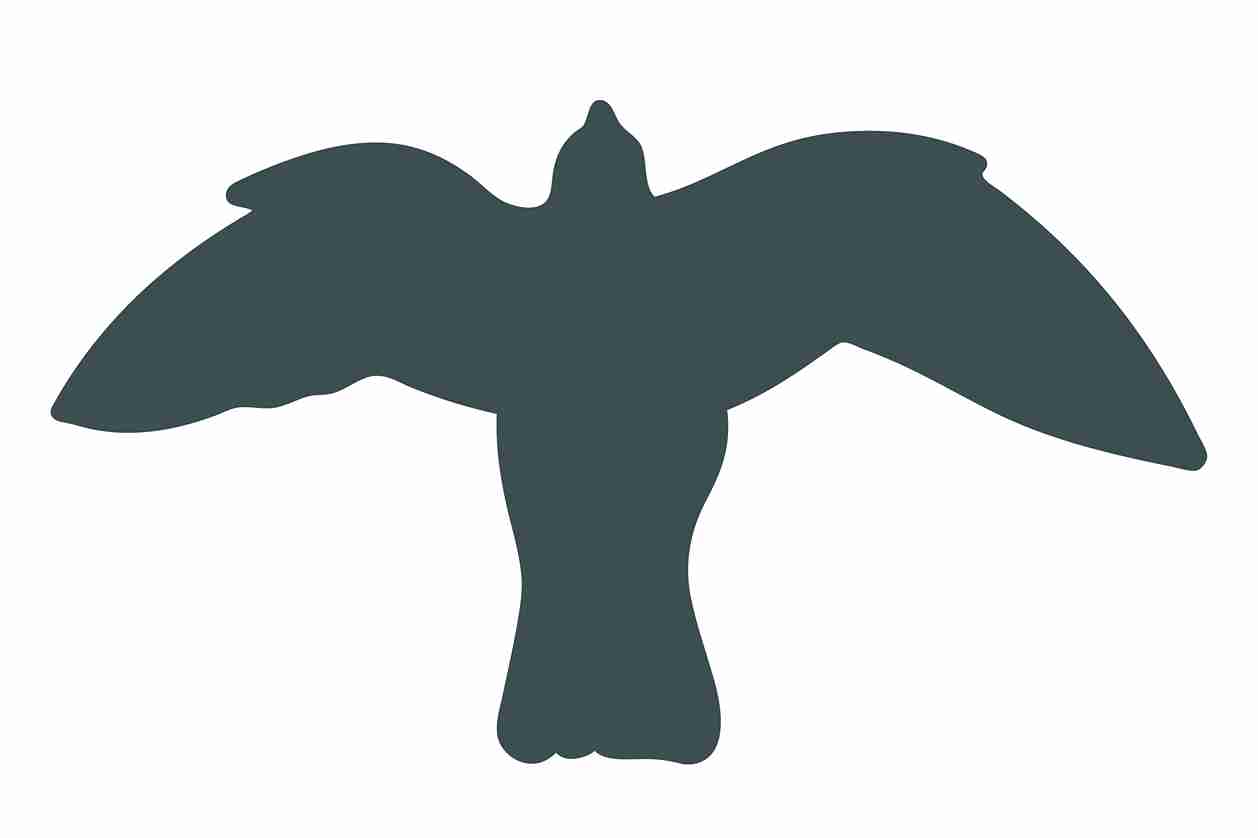 Autocollant de protection pour oiseaux 60–100 cm ES-VOG-50-93, couleur gris foncé, en plastique résistant aux intempéries.