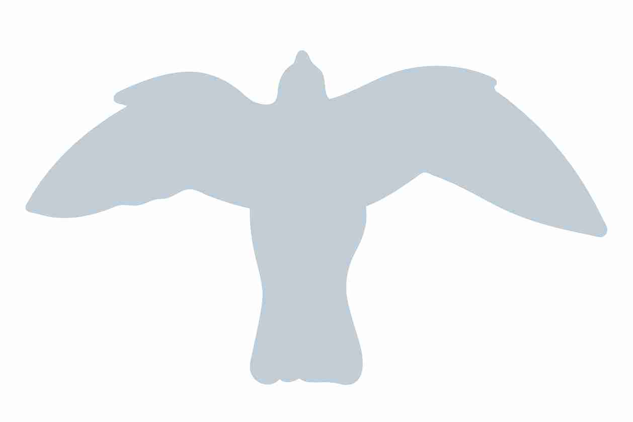 Autocollant de protection pour oiseaux 60–100 cm ES-VOG-50-SIM, argent mat, en plastique résistant aux intempéries.