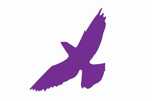 Autocollant de protection contre les oiseaux 60-100 cm ES-VOG-60-34, couleur violette, en plastique résistant aux intempéries.